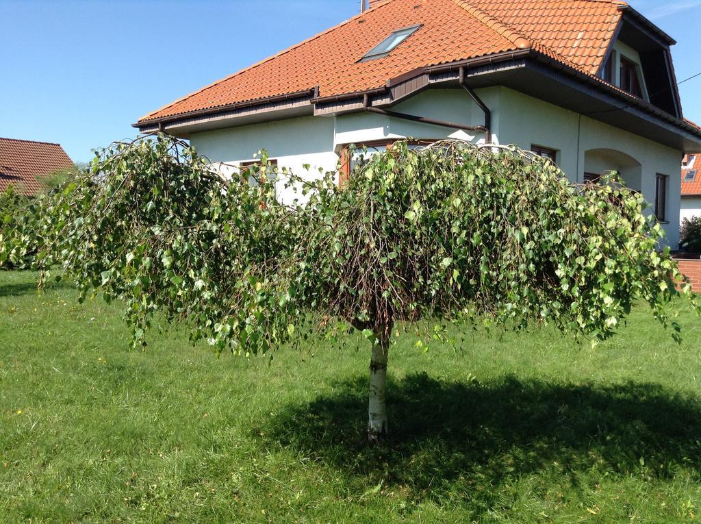 Landhaus Mit Garten Szczecin Buitenkant foto