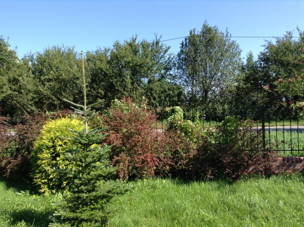 Landhaus Mit Garten Szczecin Buitenkant foto