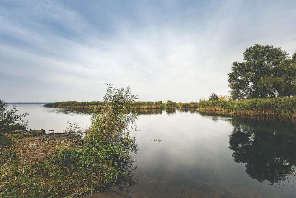 Landhaus Mit Garten Szczecin Buitenkant foto